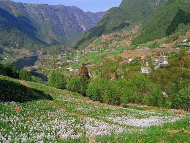 Haugsvaer Sognevegen 2242 아파트 외부 사진